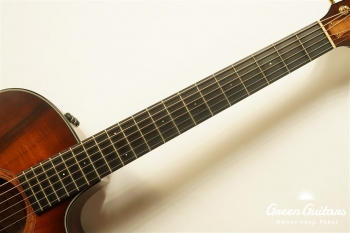 TGS2014 GSce-Koa